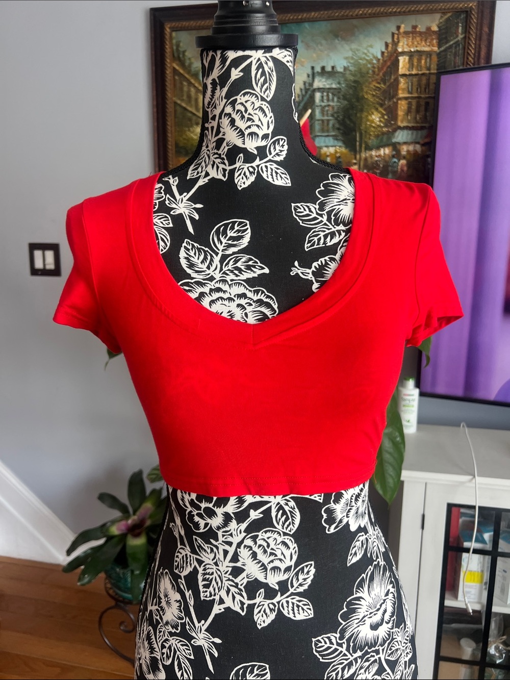 NWOT Crop Top
